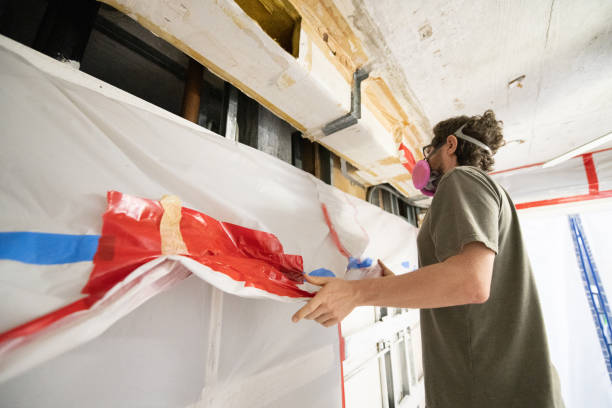 Best Post-Construction Mold Inspection  in Eden, NC