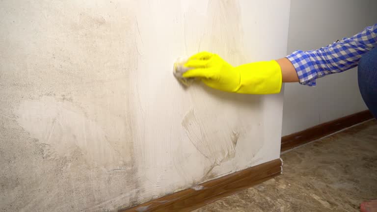 Dehumidification Services in Eden, NC